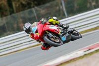 Oulton-Park-14th-March-2020;PJ-Motorsport-Photography-2020;anglesey;brands-hatch;cadwell-park;croft;donington-park;enduro-digital-images;event-digital-images;eventdigitalimages;mallory;no-limits;oulton-park;peter-wileman-photography;racing-digital-images;silverstone;snetterton;trackday-digital-images;trackday-photos;vmcc-banbury-run;welsh-2-day-enduro